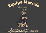 Equipe Macedo adestramento canino